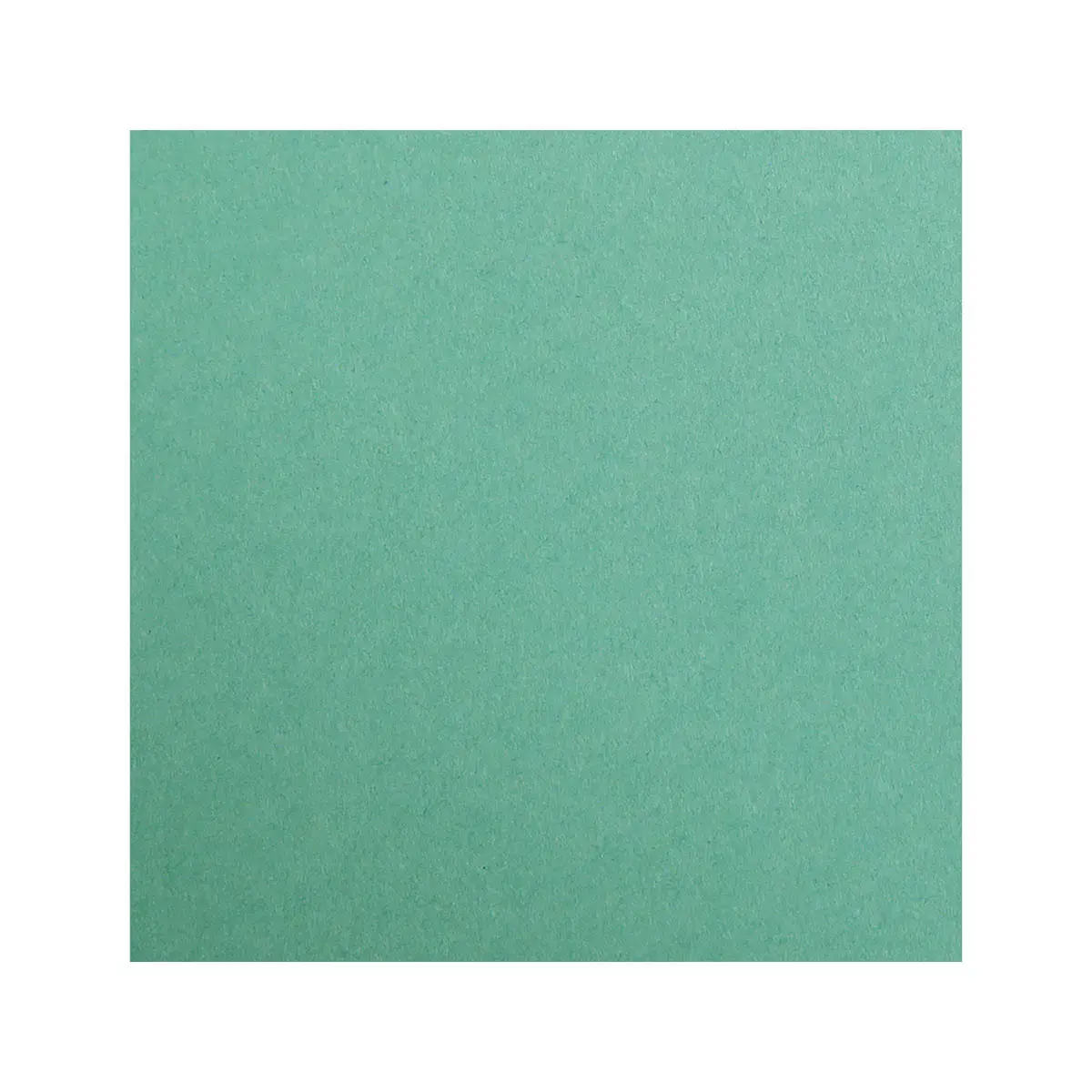 Feuille papier maya 270g 500x700mm vert sapin 25 u - Clairefontaine photo du produit