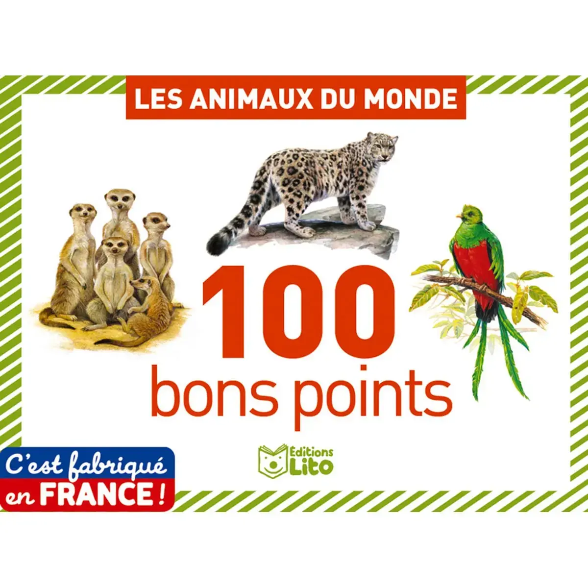 Bon point animaux du monde texte pedagogique 61x82mm - Editions lito photo du produit