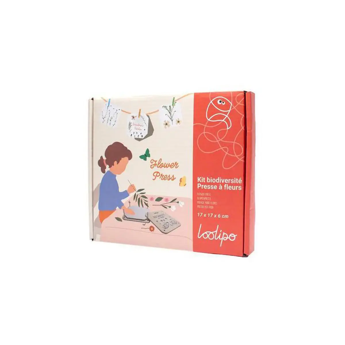 Presse fleurs et feuilles - 20, 5 x 18 cm - 1 pc. - Sodertex loolipo photo du produit