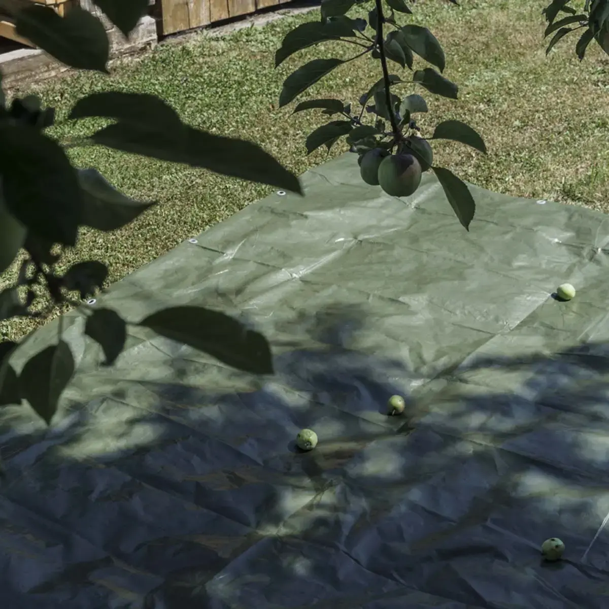 B&acirc;che toile avec oeillets, 3 x 4 m, 150 g, vert - Agriplus photo du produit