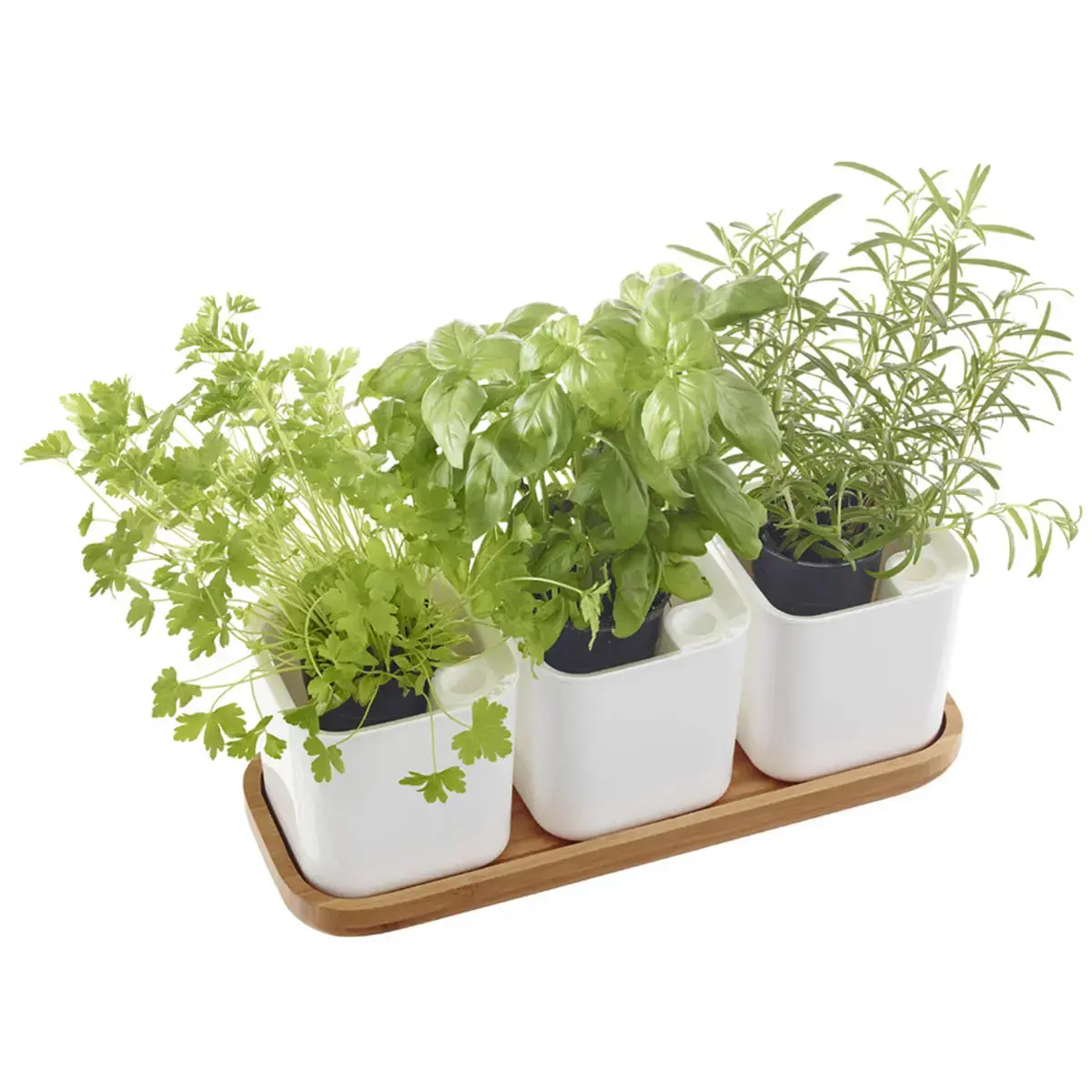 Pot à herbes aromatiques EDEN, set de 3, blanc - Orthex photo du produit