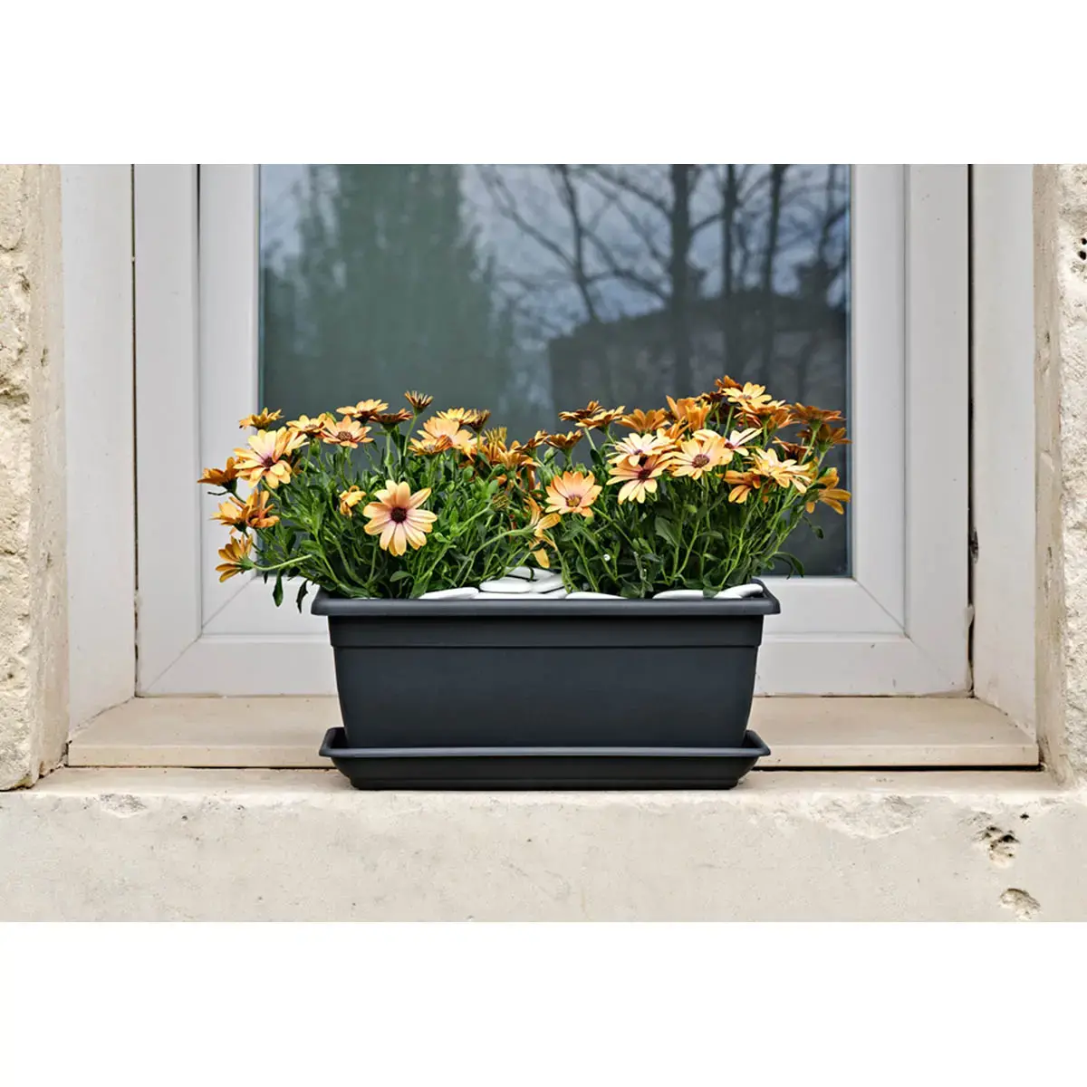 Soucoupe Nara - largeur 600 mm - Anthracite - Tera photo du produit