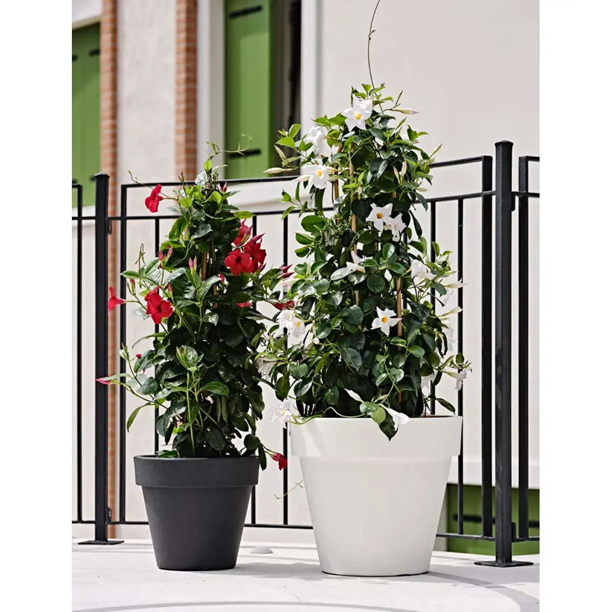 Pots de fleurs 'Standard One 30', antracite - Tera photo du produit