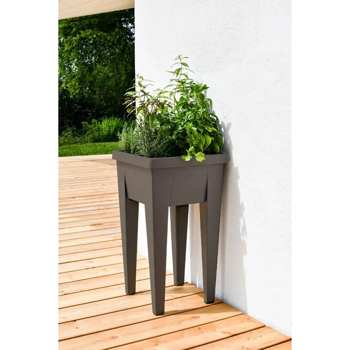 Couvercle pour mini-jardinière 'VEG&Table', transparent - Eda Fontaine photo du produit