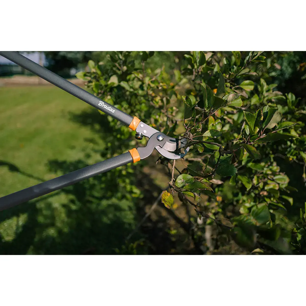 Coupe-branches Bypass V-SERIES, longueur: 430 mm - Bradas photo du produit