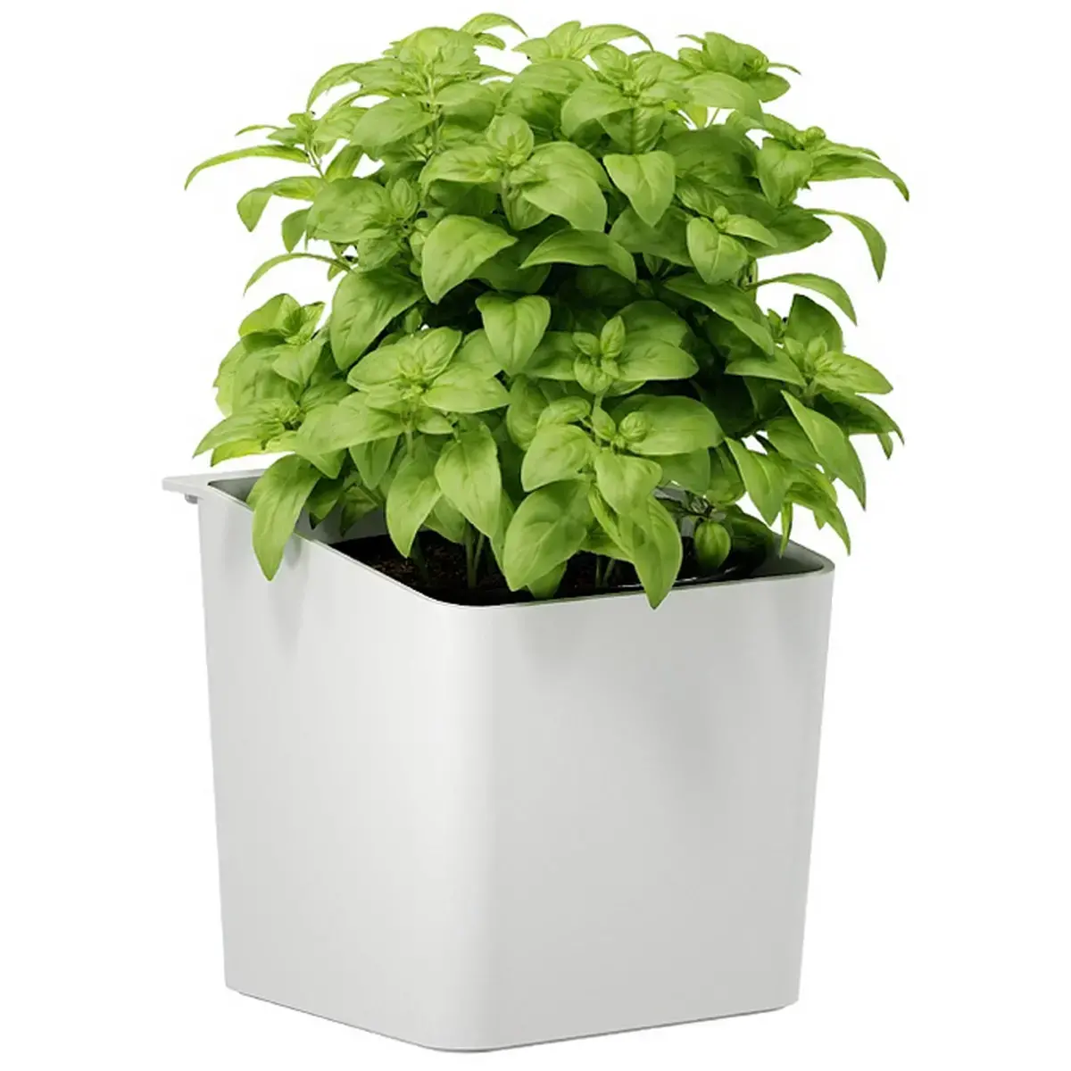Pot pour herbes aromatiques, blanc - Tesa photo du produit