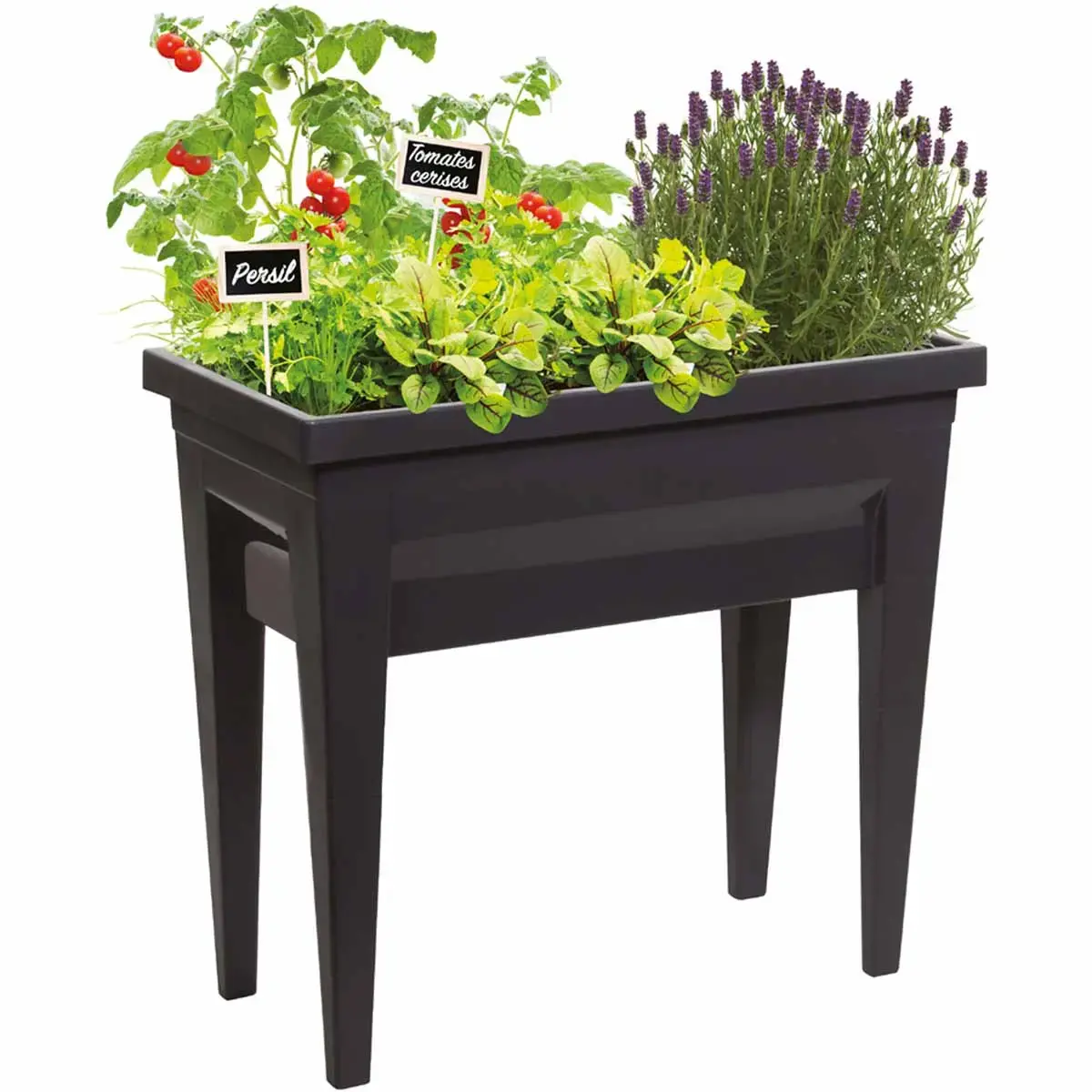 Couvercle pour jardinière 'VEG&Table' City, transparent - Eda Fontaine photo du produit