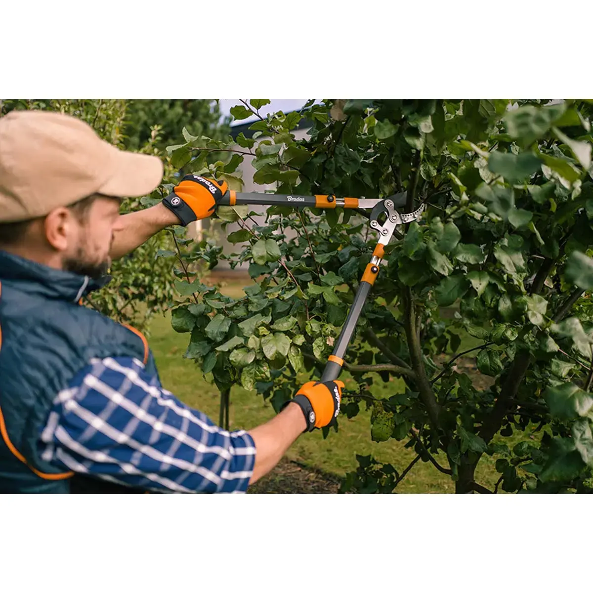 Coupe-branches à enclume V-SERIES, télescopique - Bradas photo du produit