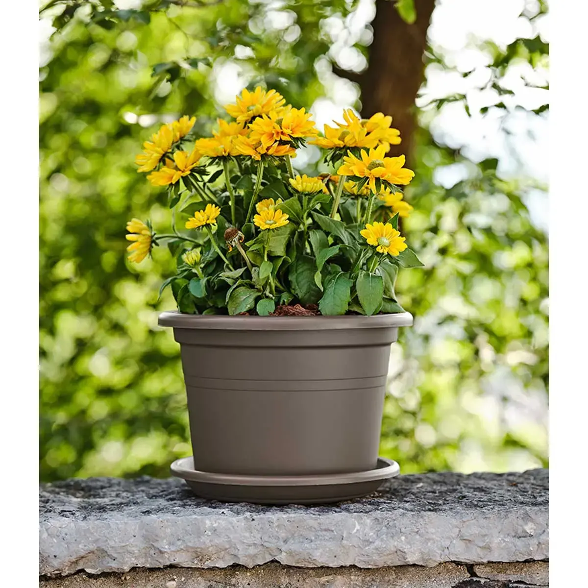 Pot de fleurs Basic round - diam&egrave;tre 400 mm - Anthracite - Tera photo du produit