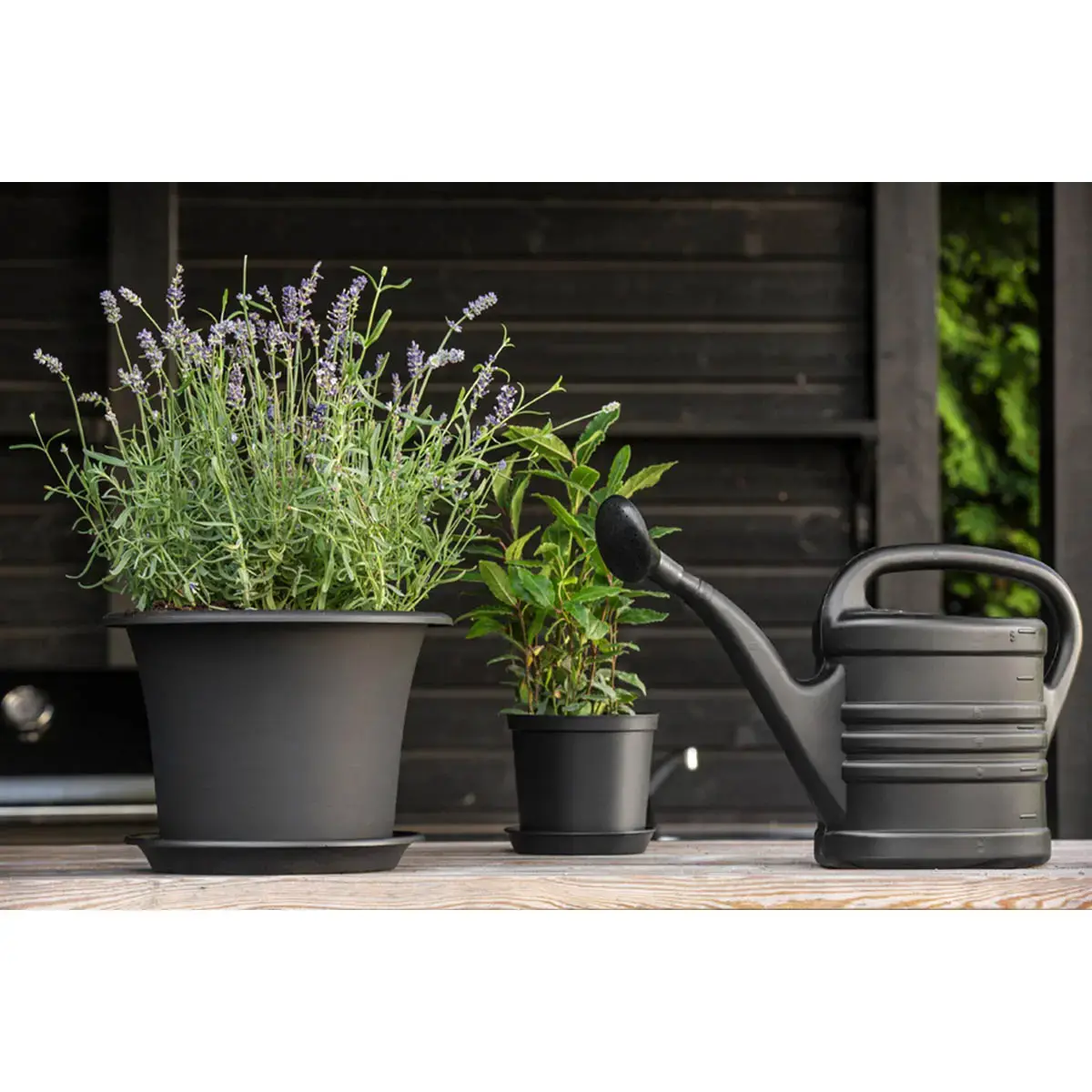 Arrosoir Splash, 10,0 litres, noir - Orthex photo du produit
