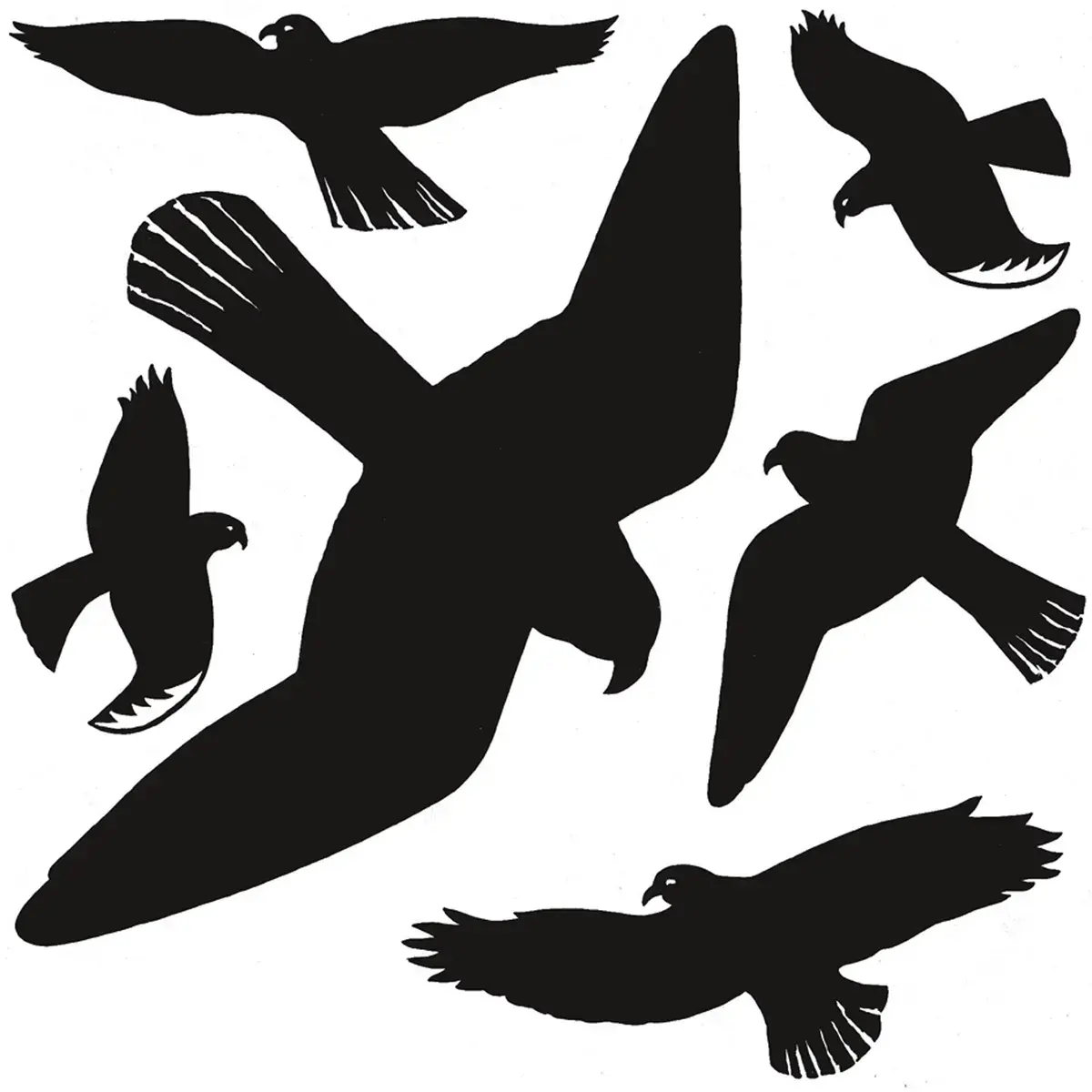 Etiquette de signalisation 'oiseaux', multicolore - Herma photo du produit