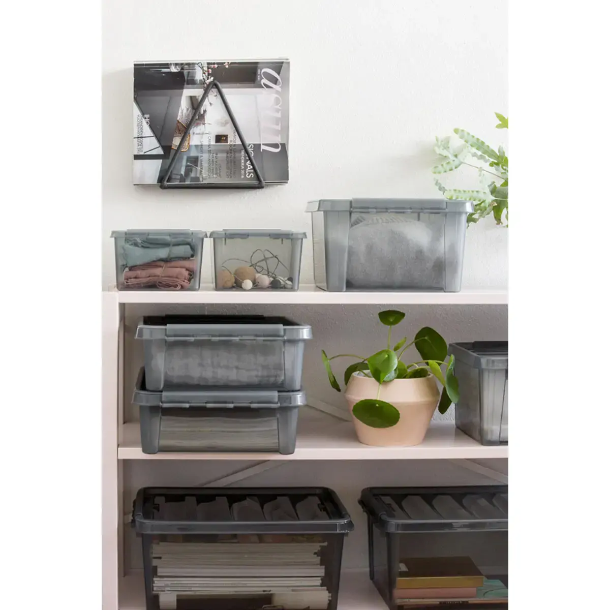 Boîte de rangement COLOUR - 46 L - Gris - Smartstore photo du produit