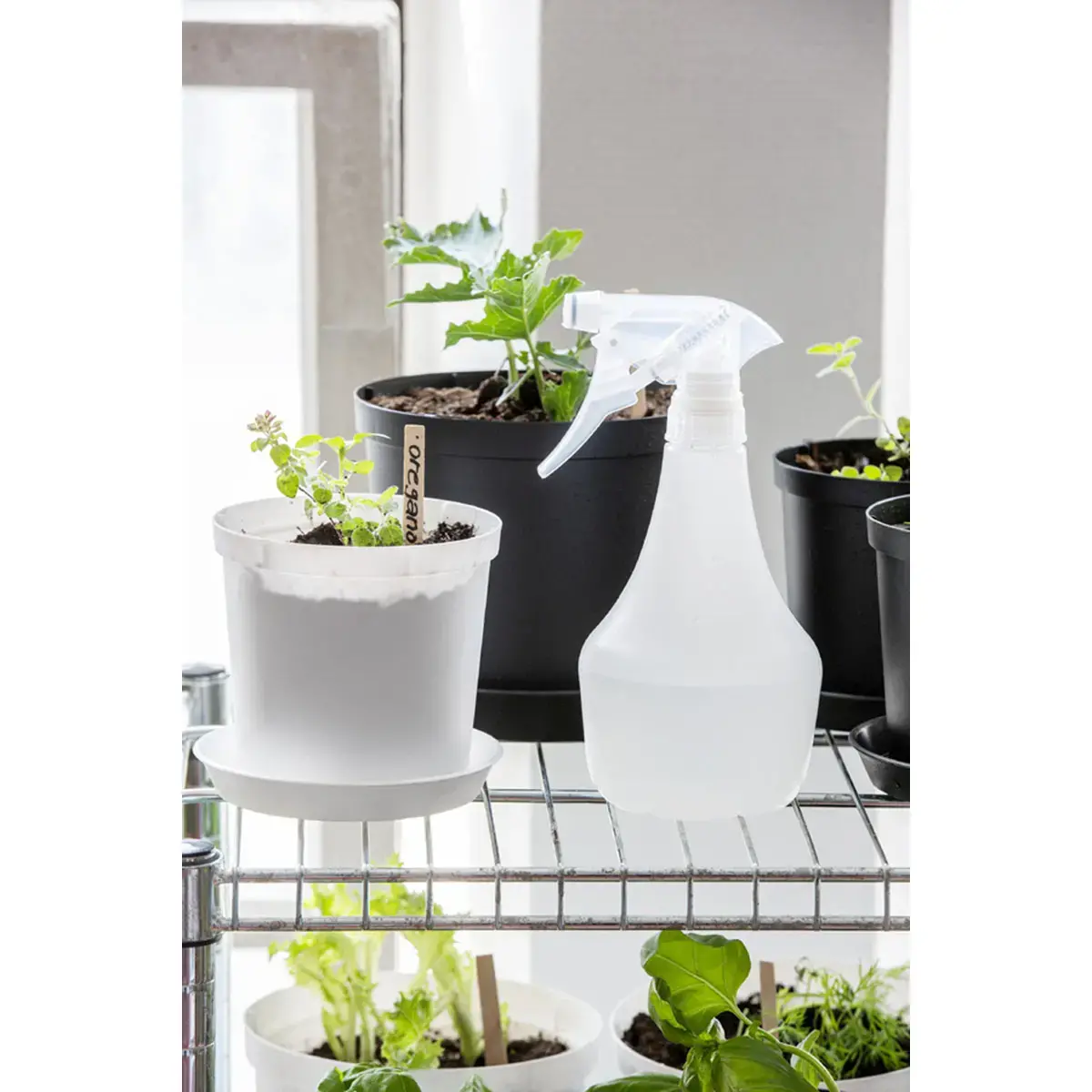 Vaporisateur 0,5 litre, transparent - Orthex photo du produit