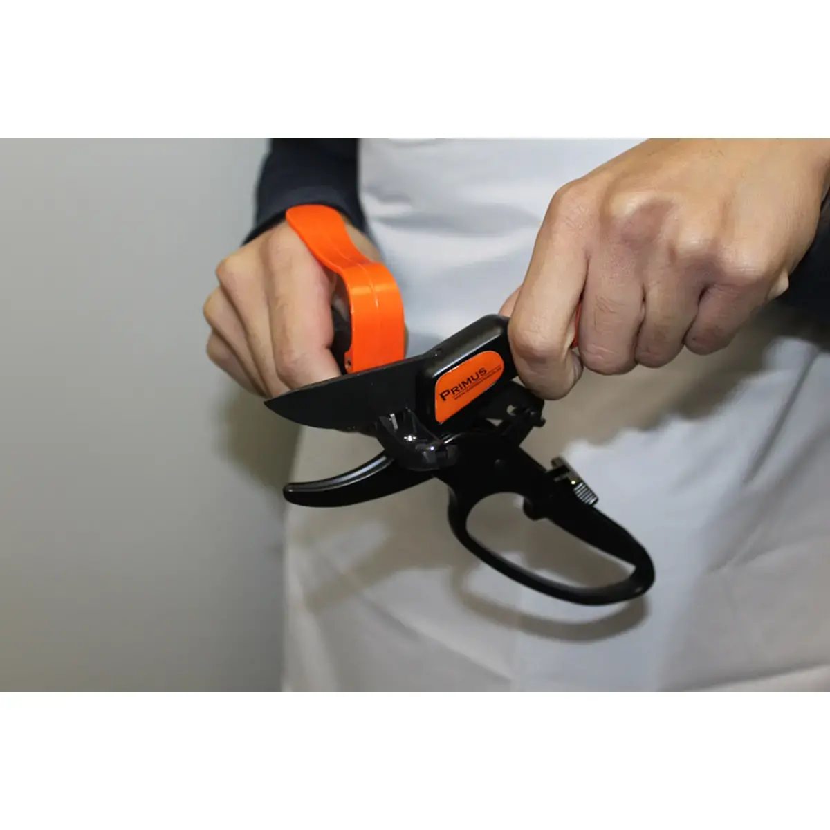Affûteur multi-fonctions, noir/orange - Garten Primus photo du produit