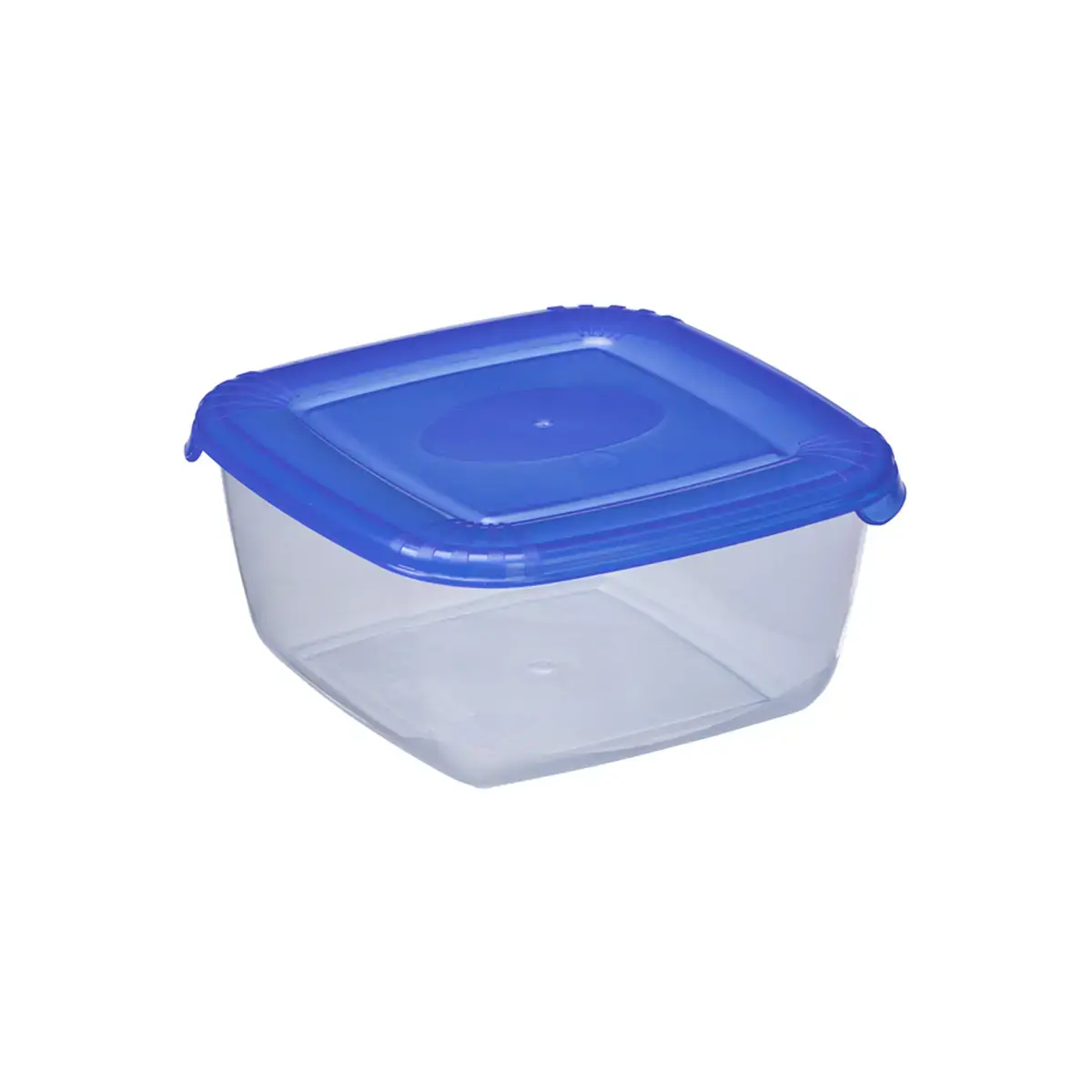 Boîte de congélation Polar, 0,46 litre, bleu - Plast Team photo du produit
