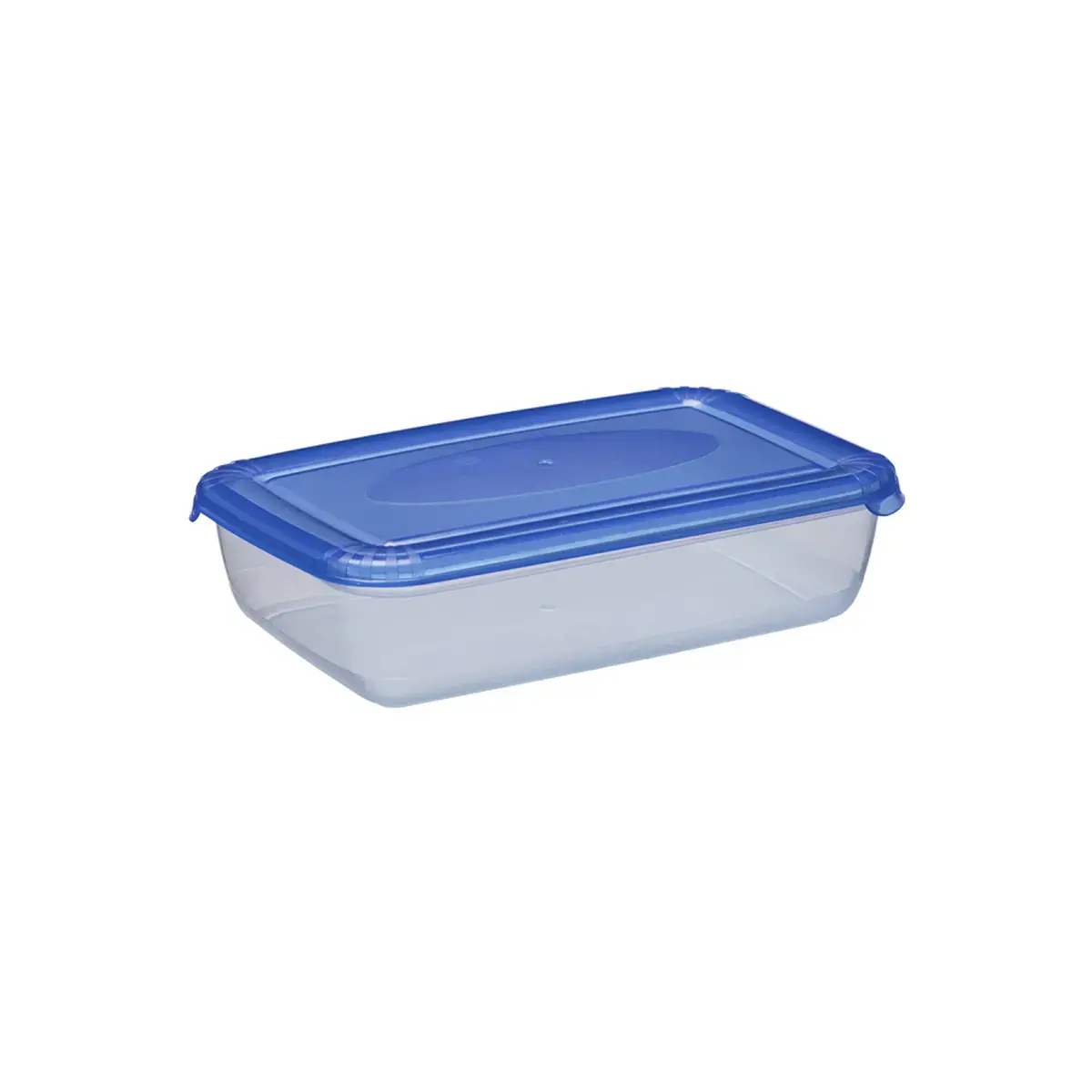 Boîte de congélation Polar, 0,45 litre, gris - Plast Team photo du produit