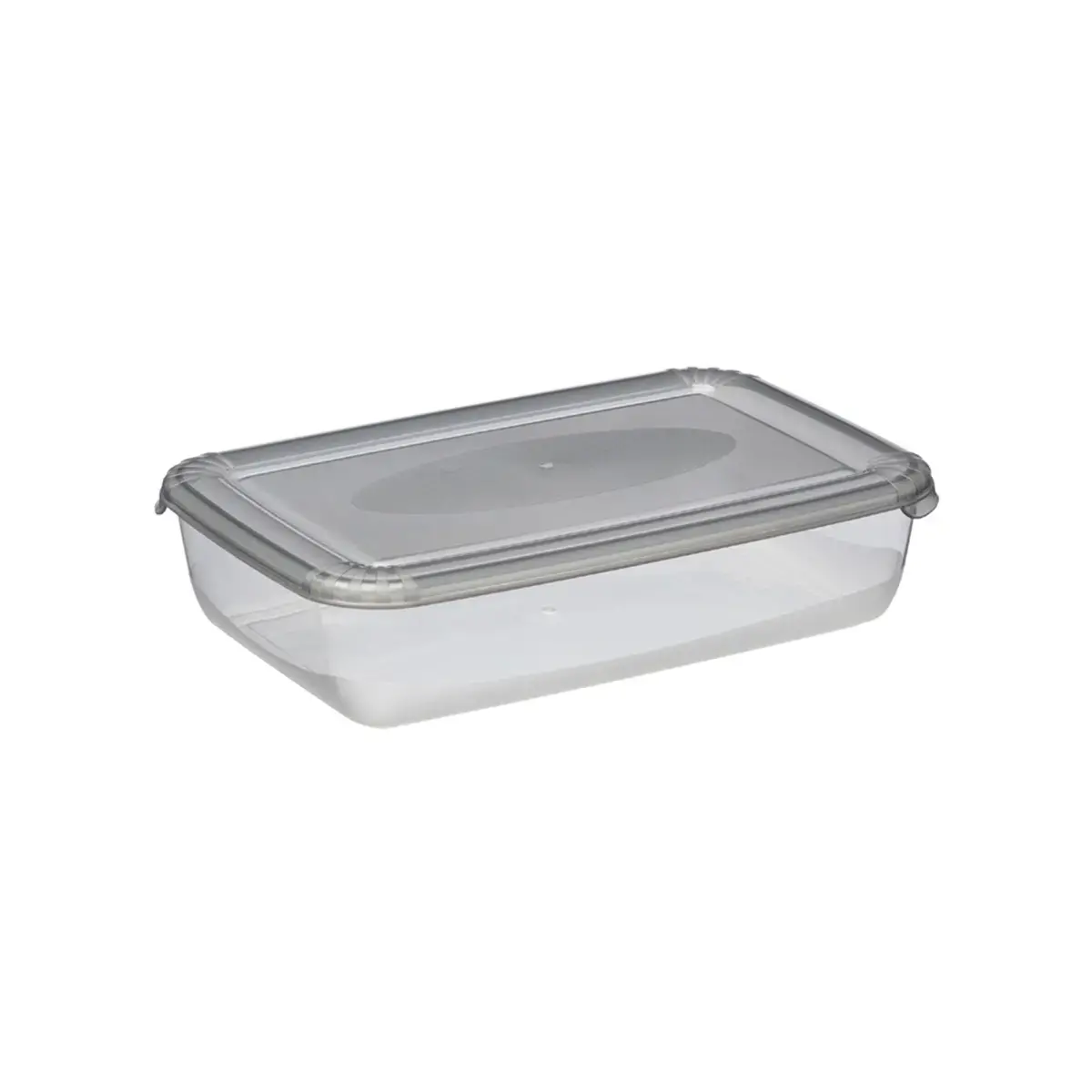 Boîte de congélation Polar, 0,45 litre, gris - Plast Team photo du produit