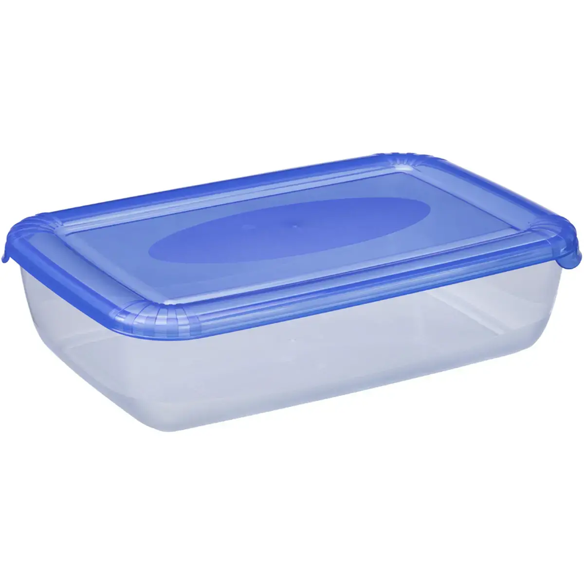 Boîte de congélation Polar, 0,45 litre, gris - Plast Team photo du produit