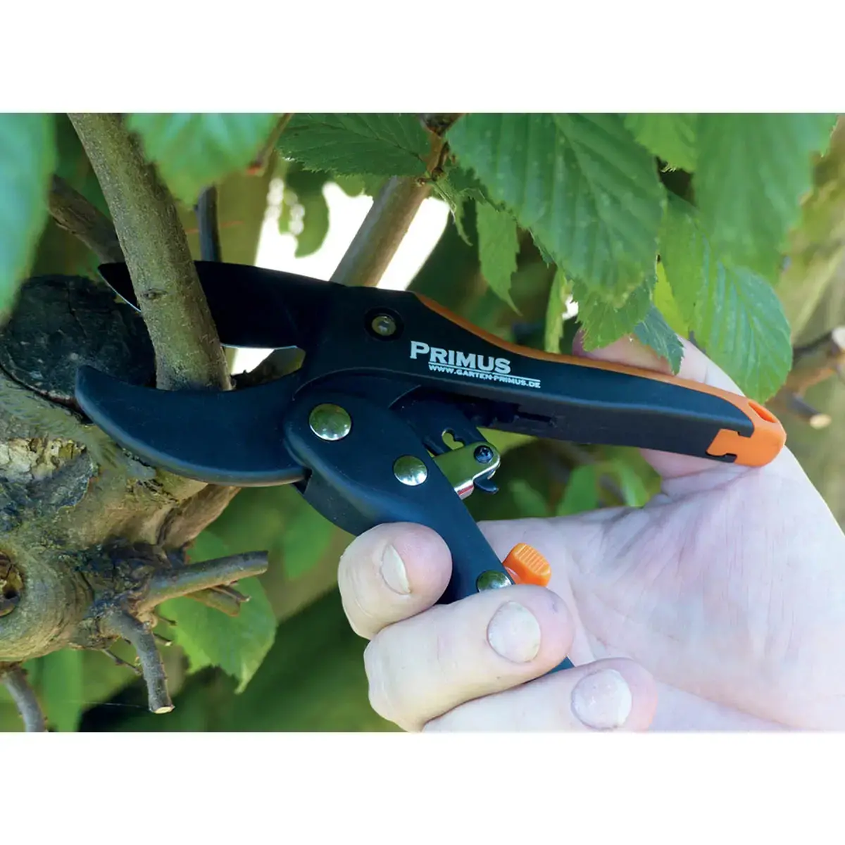 S&eacute;cateur &agrave; cr&eacute;maill&egrave;re femmes, L : 174 mm - Garten Primus photo du produit