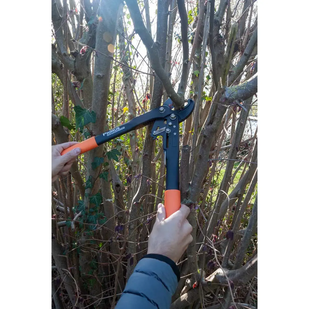 Coupe-branches femmes Dual-Cut, 420 mm - Garten Primus photo du produit
