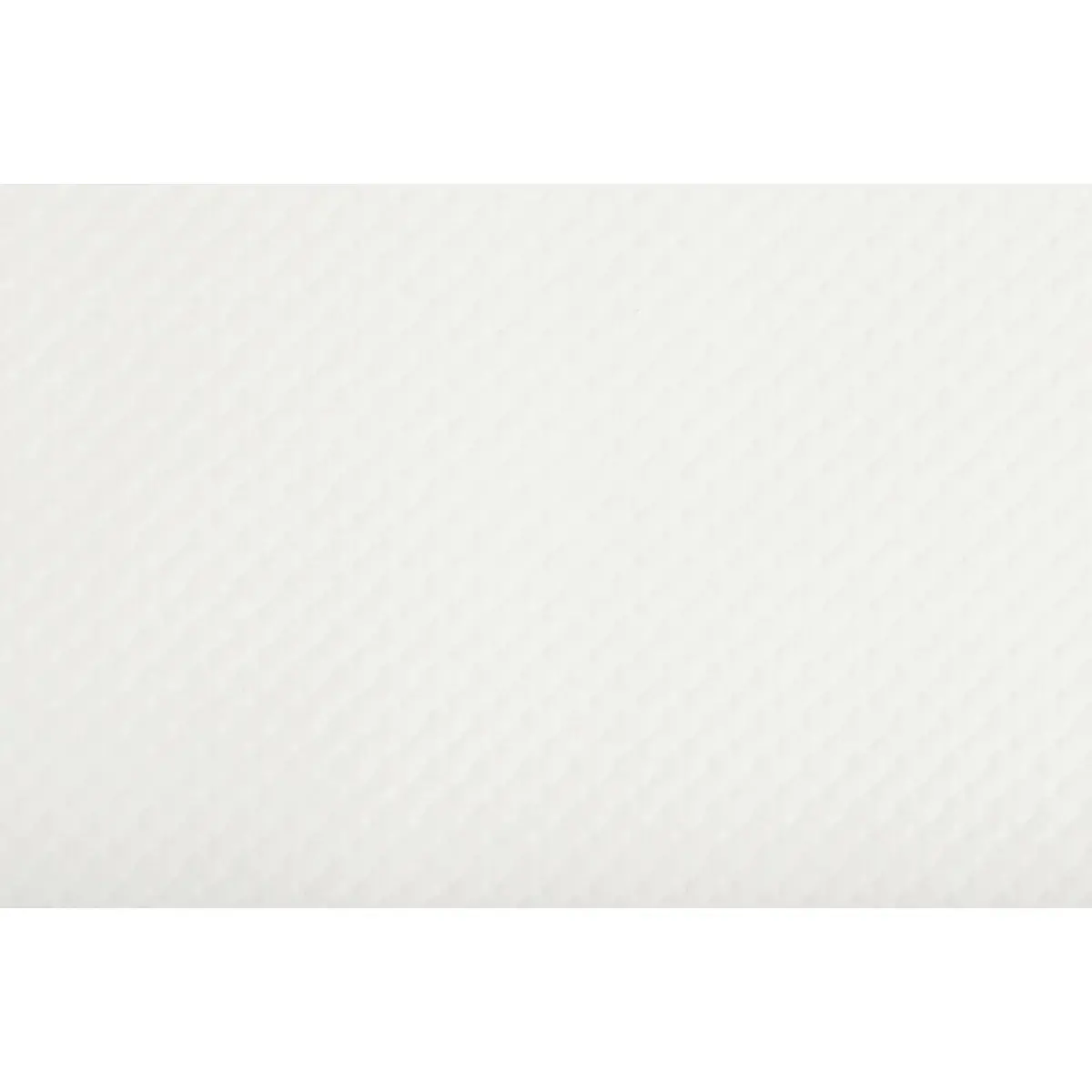 Set de table jetable, 400 x 300 mm, blanc mat - Pronappe photo du produit