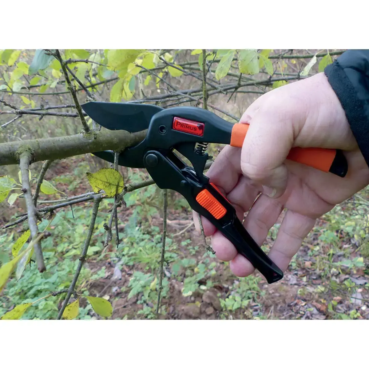 S&eacute;cateur de jardin PowerGleit, longueur : 203mm - Garten Primus photo du produit