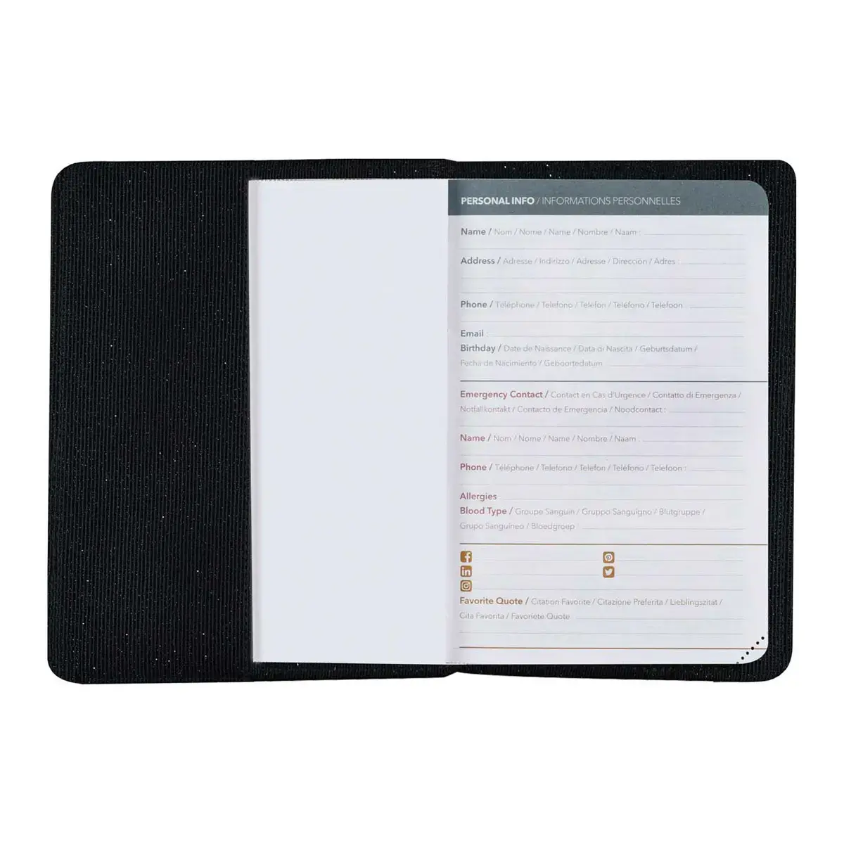 Agenda 2027 Affaires Color - Semainier Planning Multilingue - Ella Noir - 13 mois de décembre à décembre - 10x15 cm - Quo Vadis photo du produit