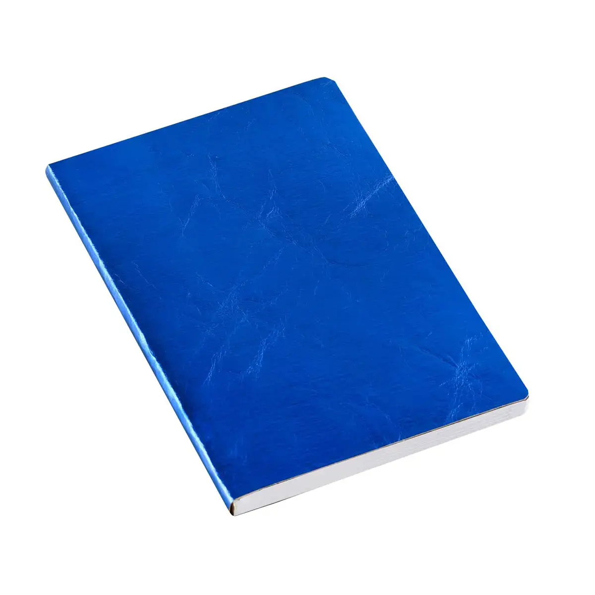 Agenda 2027 Ministre Color - Semainier Planning Multilingue - Susan Bleu - 13 mois de décembre à décembre - 16x24 cm - Papier Clairefontaine blanc - Fabrication française - Quo Vadis photo du produit