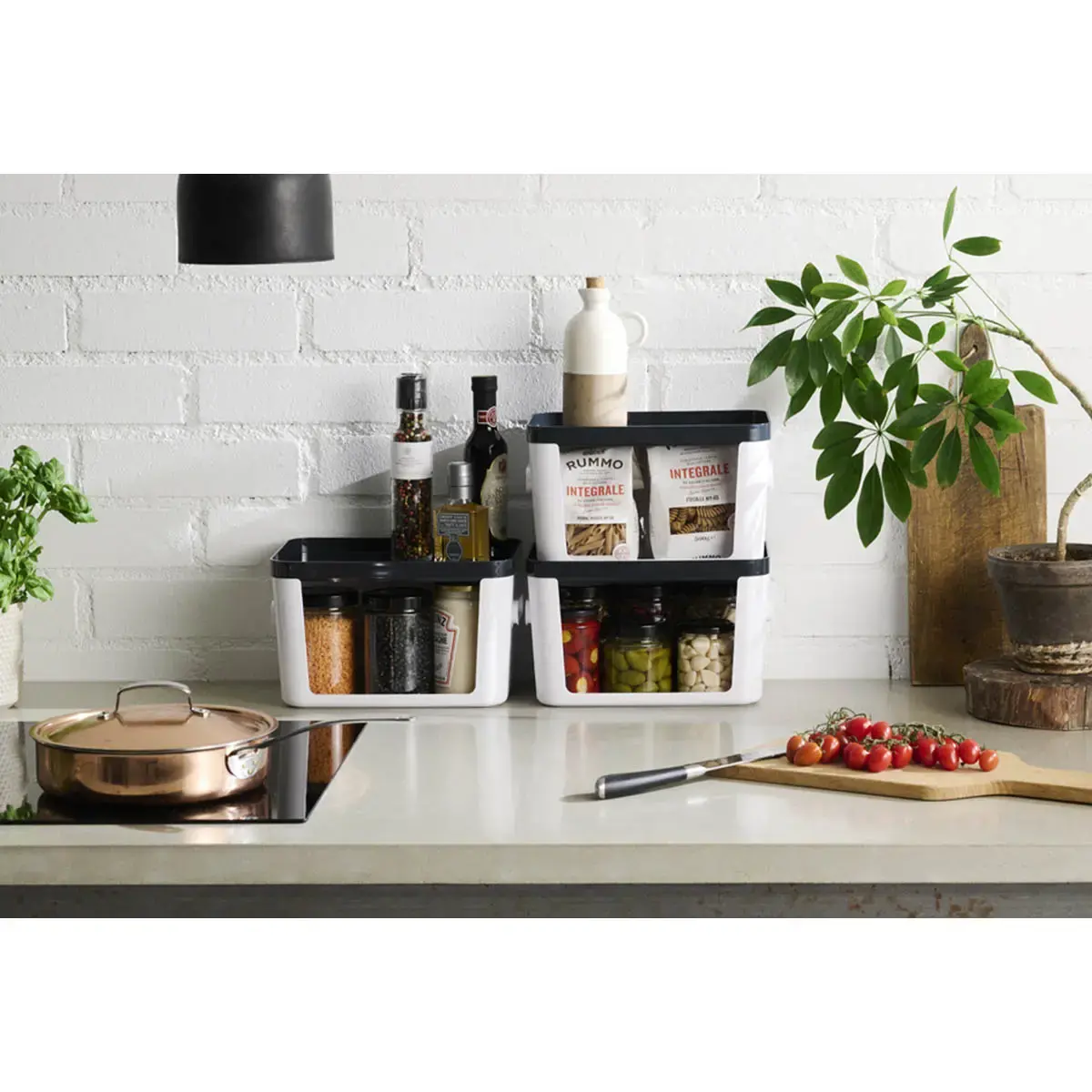Couvercle pour boîte COMPACT SQUARE M/L - Smartstore photo du produit
