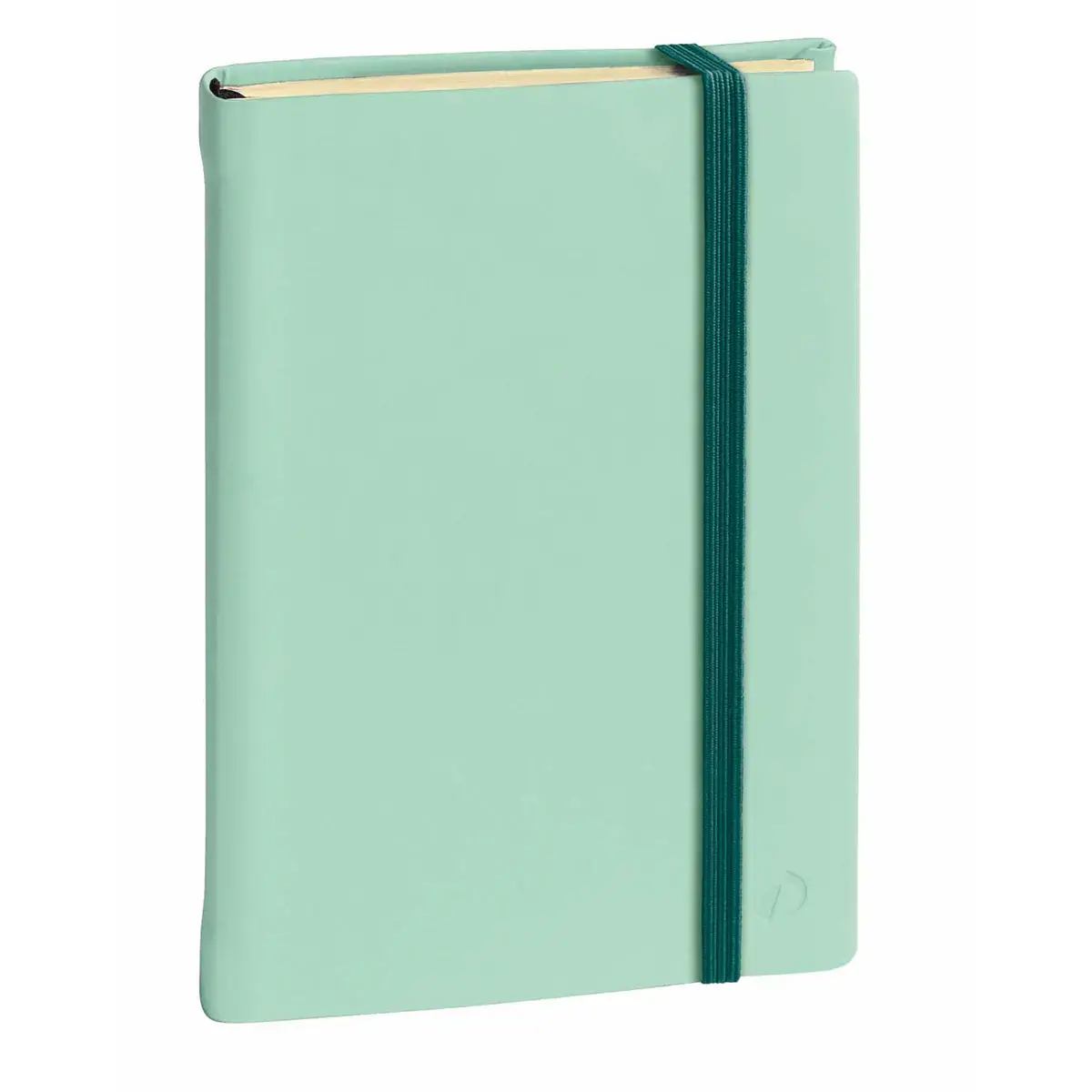 Carnet 24 lign&eacute; Silk - 16x24 cm - avec &eacute;lastique - Quo vadis photo du produit