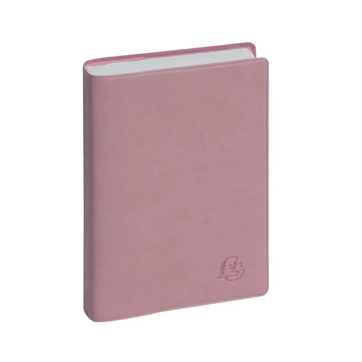 Ag. Journalier EasyDay 15 Ondine - Exacompta photo du produit