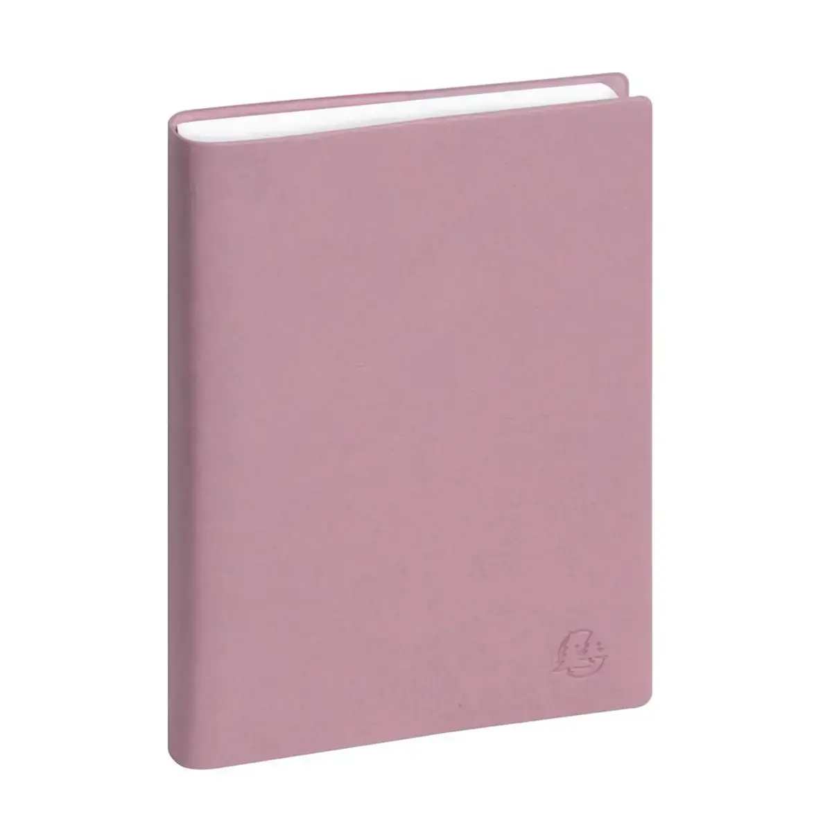 Ag. Journalier EasyDay 17 Ondine - Exacompta photo du produit