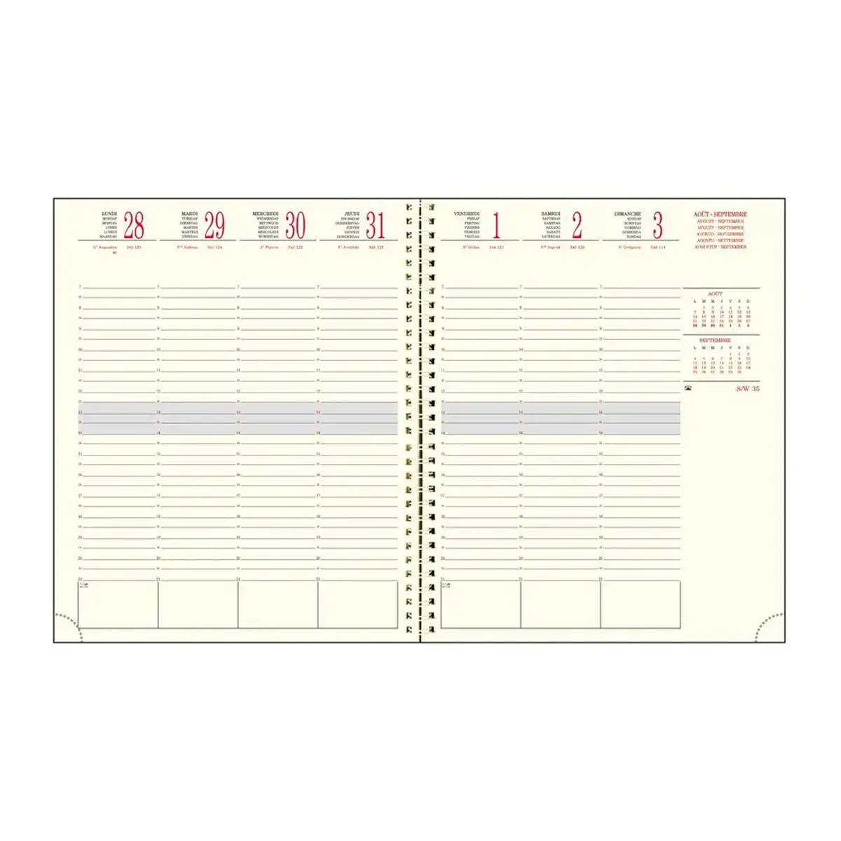 Sem. bureau SAD 22S Linicolor - Exacompta photo du produit