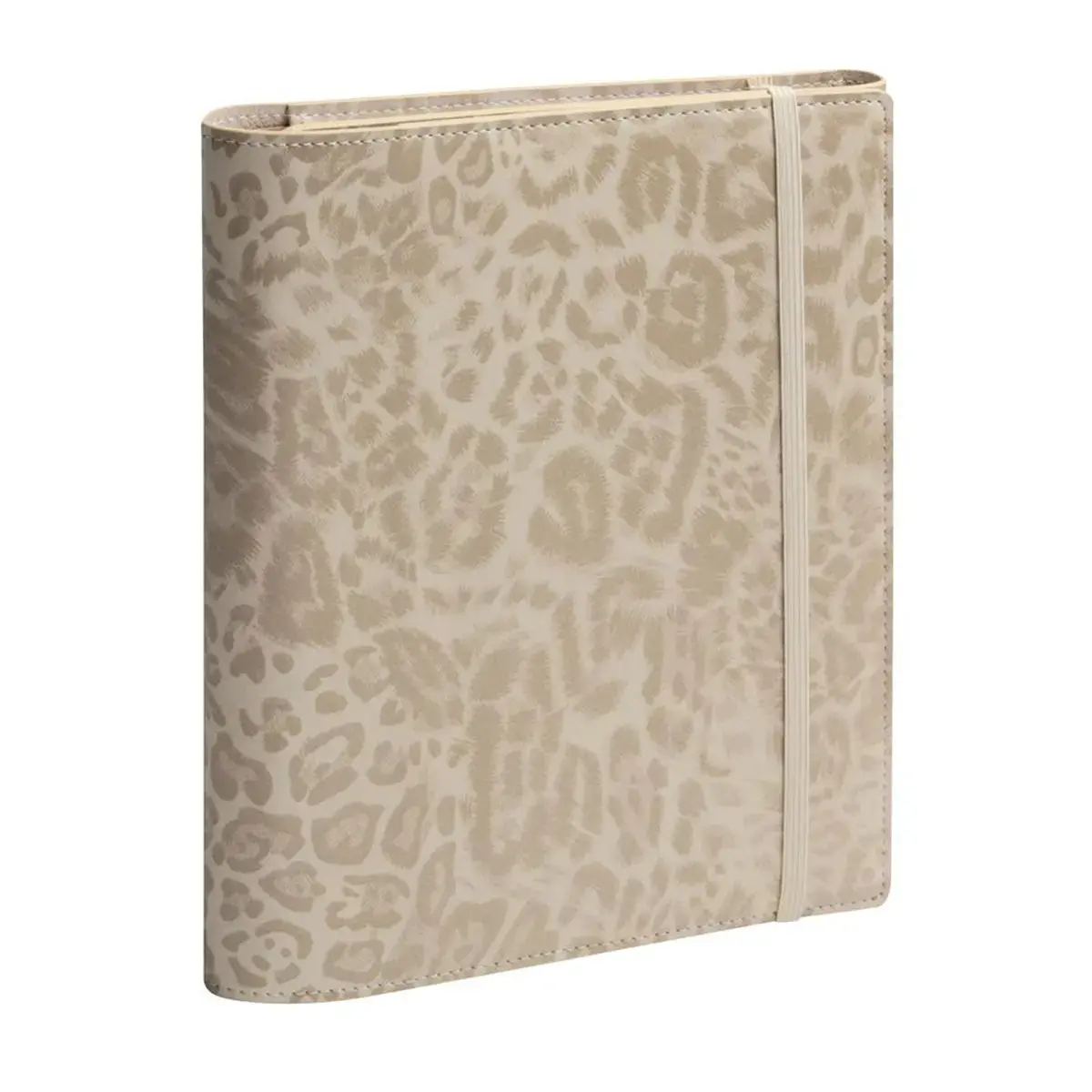 All in One EasyTime SAD21S Fauve Beige - Exacompta photo du produit