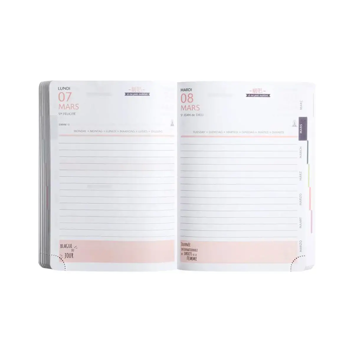 Ag. Jour. Forum Color Pembe Music Rose - Exacompta photo du produit