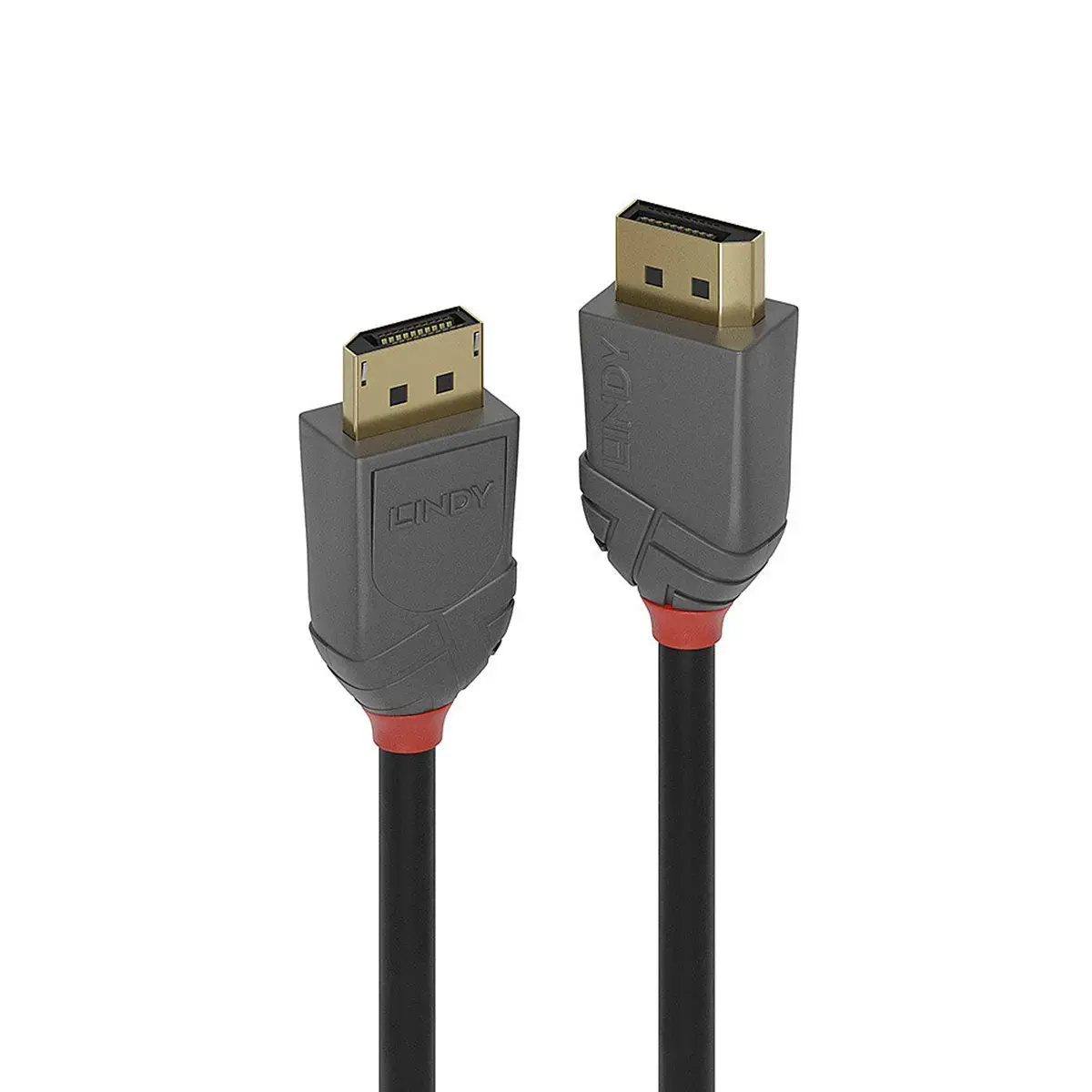 Câble Anthra Line DisplayPort 1.2 10 m - Lindy photo du produit