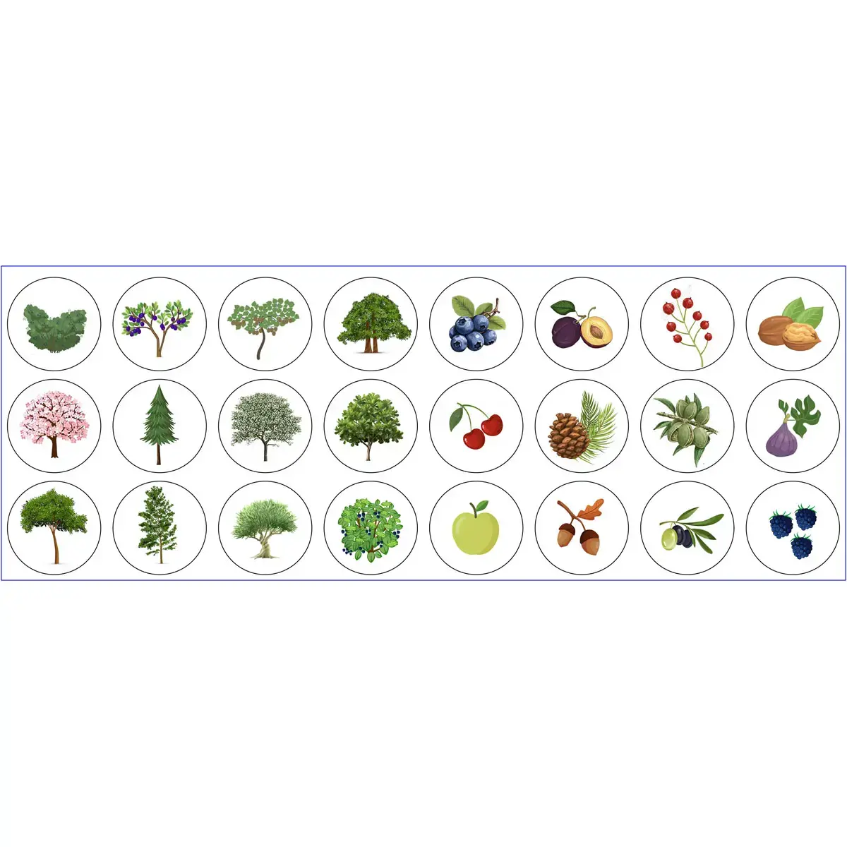 Rouleau de gommettes Arbres 360 unités - Apli photo du produit