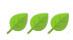 3 feuilles vertes